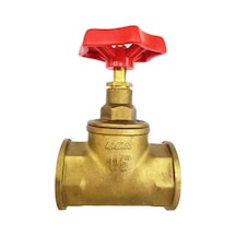 Eca R 1 1/2" inç Stop Valf Vana 601005011