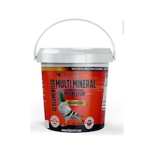 Depovit Depovit Multi Mineral Kırmızı Vitamin 2,5 Kg Kova