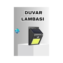 Mercan-çok Renkli