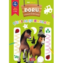 TRT Çocuk - Çizgi Alıştırmaları - Doru Etkinlik ve Boyama- Yediveren Çocuk