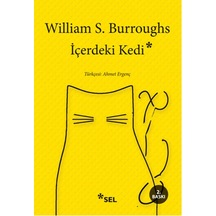 İçerdeki Kedi - Rjcı-763062