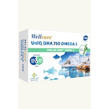 Wellcare Omega 3 Balık Yağı 750 Mg 30 Kapsül