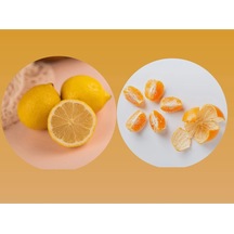 Tüplü Aşılı Bodur Yediveren Limon+okitsu Mandalina 2 Yaş