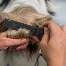Show Tech Sivri Saplı Karbon Anti-statik Kedi Köpek Örgü Tarağı