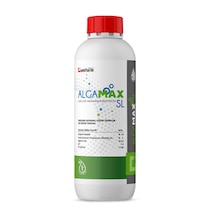 1 L