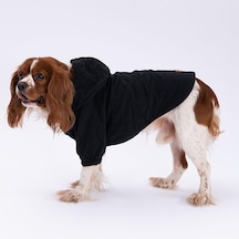 Siyah Mont Köpek Mont Köpek Kıyafeti Köpek Yağmurluğu Küçük-büyük Irklar