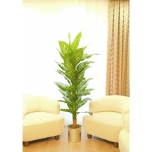 Rüzgar Yapay Çiçekçilik 170 Cm Difenbahya 25x25 Silver Saksı Yeşil