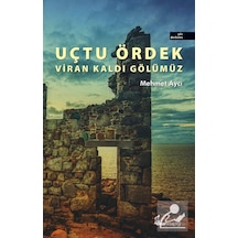 Uçtu Ördek Viran Kaldı Gölümüz - Mehmet Aycı - Okur Kitaplığı