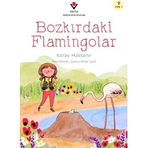 Bozkırdaki Flamingolar - Yqbx-716851