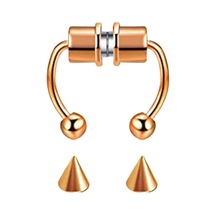 Suntek Paslanmaz Manyetik Yanlış Burun Gül-altın-1-takım Altın