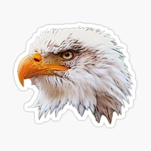 Araba Için Kartal Oto Sticker Yapıştırması Etiket 17Cm R7
