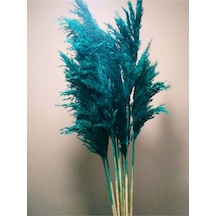 8'li Büyük Demet Pampas Turkuaz 100cm Boyunda