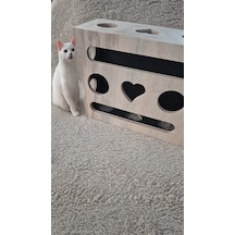 Mistikhane - Kedi Tırnak Törpüsü Ve Oyun Kutusu O Model