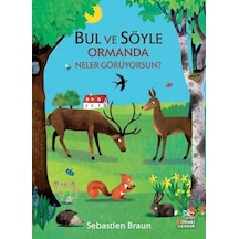 Bul ve Söyle - Ormanda Neler Görüyorsun? - Sebastien Braun - İthaki Çocuk
