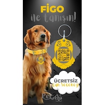 Petjoo 27.Figo Gri-Sarı Qr'lı Köpek Künyesi