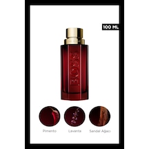 The Scent Elixir Parfum 100 Ml Erkek Parfüm Aromatik