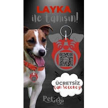 Petjoo 22.Layka Gri-Kırmızı Qr'lı Köpek Künyesi
