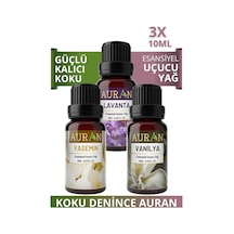 AURAN Lavanta, Yasemin, Vanilya Saf Uçucu Yağ Buhurdanlık 3 X10ML
