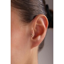 Altın Yılan Piercing Altın