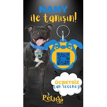 Petjoo 17.Nany Sarı-Mavi Qr'lı Köpek Künyesi