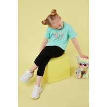 Mint Yeşili