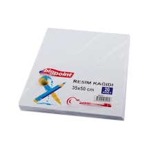 Bigpoint Resim Kağıdı 35X50Cm 20'Li Paket
