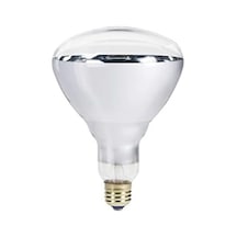 Ledvance 250w Infrared Şeffaf Ampul E27