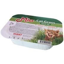 Mio Cat Grass Kutulu Kedi Çimi
