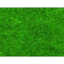 Cp Model N-146 Koyu Yeşil,maketler İçin Çim Tabakası, 100 X 250 Cm-54328