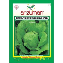 Marul Tohumu 1 Paket 10 Gr Yedikule Marul Tohumu
