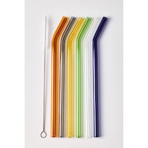 Perotti 15960 Straw Cam Pipet Fırça Seti Renkli 6lı