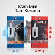 Kedi Dış Bit Pire Kene
