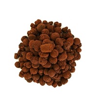 Serada Decor Plant Kil Bilyesi 3 Lt 3-8 Mm Genleştirilmiş Kil Bilyesi Orkide Kil Bilyesi