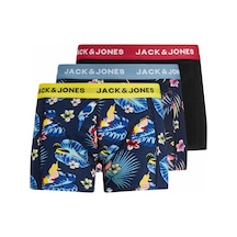 Jack & Jones Jacflower 3'Lü Paket Boxer 12194104