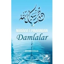 Nübüvvet Pınarından Damlalar / Muhammed Özkılınç 9786059102759