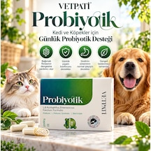 Vetpati Probiyotik Kedi Ve Köpekler İçin Probiyotik Prebiyotik Sinbiyotik Takviye 30 Kapsül