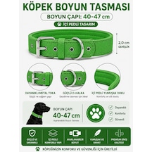 Pedli Köpek Boyun Tasması 40-47 Cm 2 Cm İçi Pedli Metal Tokalı D Halkalı - Yeşil Çok Renkli