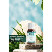 20 ML