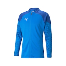 Puma Teamcup Training Jacket Erkek Futbol Antrenman Ceketi 657983 001
