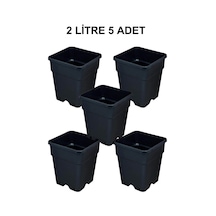 Grow Wizard Plastik Kare Saksı 2 Litre 5 Adet