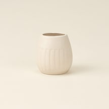 Bath Matte Diş Fırçalık - Asorti - 7x6,5 Cm Çok Renkli