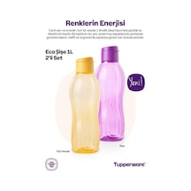 Eko Şişe 1 Litre 2 Li Set Mor
