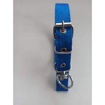 Kozaklı Küçük Irk Köpek Tasması Mavi 50 x 2.5 CM Mavi