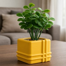 Bezos 3d Baskı Square Planter - Izgara Desenli Küp Saksı-sarı Ob Standart
