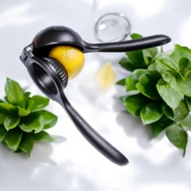 Limon Narenciye Portakal Sıkacağı Döküm Siyah Limon Sıkma Makinesi Döküm Diğer