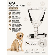 Köpek Göğüs Tasması Ve Sevk Kayışı Seti 40-60 Cm Suni Deri Perçinli Orta Büyük Irk - Beyaz Çok Renkli