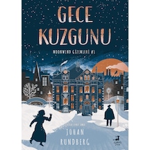 Gece Kuzgunu: Moonwind Gizemleri 1