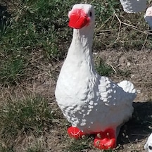 M3 M3Decorium Ördek Kaz Iç Dış Mekan 40Cm Oda Masa Çim Bahçe Heykeli Beyaz - Venge