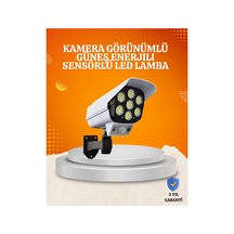 Mercan-çok Renkli