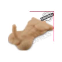 Hızlı Express Lovetoy Gerçek Ölçülerde Realistik Penisli 2 Işlevli Erkek Vücut